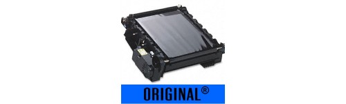 Rolos Carga Transfert